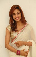 Vidisha in Saree Stills